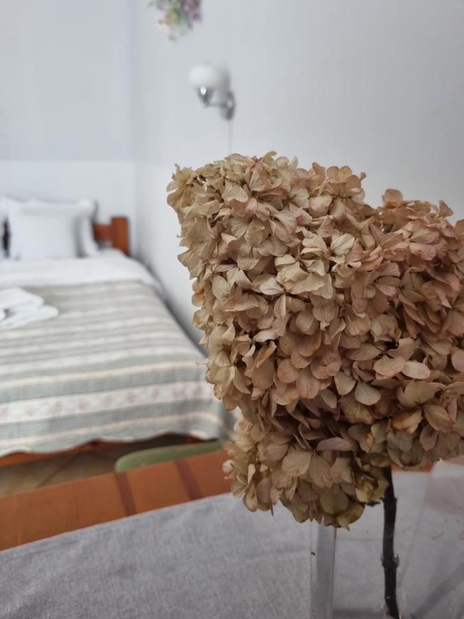 Hotel Zaulek Любань Экстерьер фото