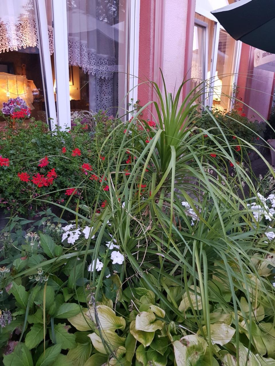 Hotel Zaulek Любань Экстерьер фото
